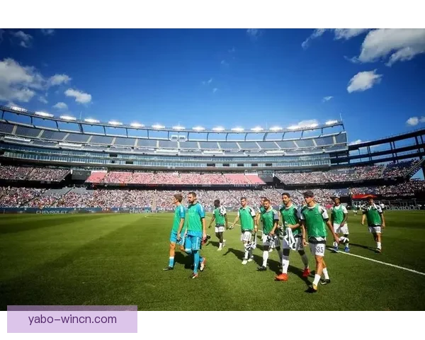 2026国际足联世界杯盛况回顾与全球足球热潮解析