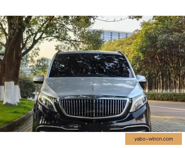 詹姆斯偶遇鳄鱼后晒30万美元定制迈巴赫 已收藏超十台顶级豪车